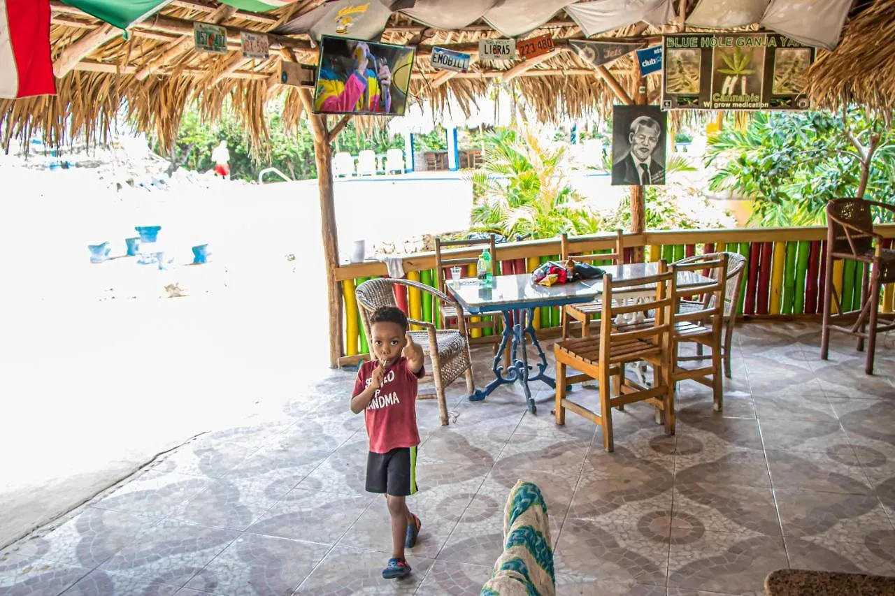 Haleys Paradise At Blue Hole Revival Jamaica