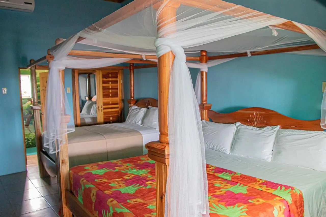Haleys Paradise At Blue Hole Revival Jamaica