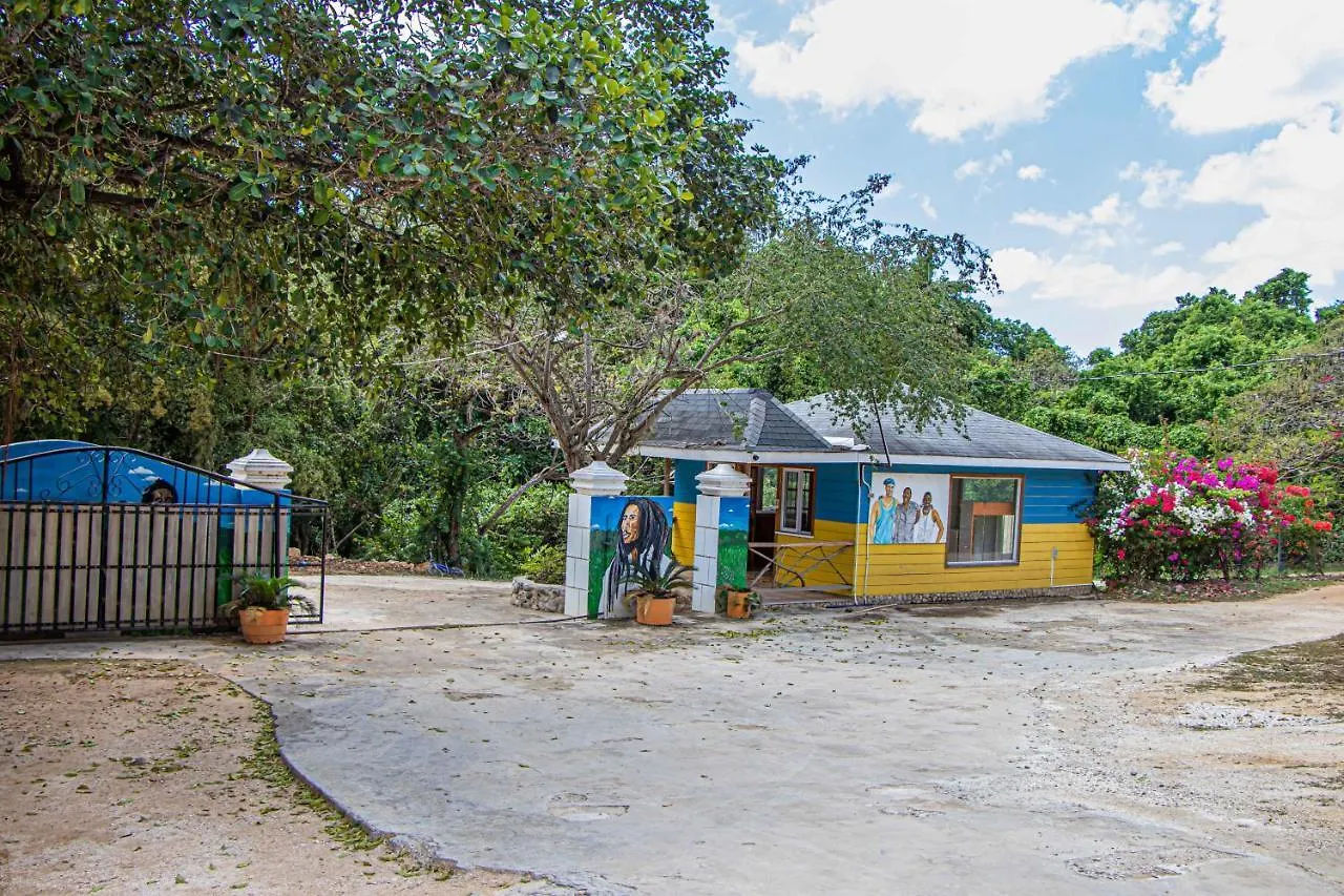 Lägenhet Haleys Paradise At Blue Hole Revival Jamaica