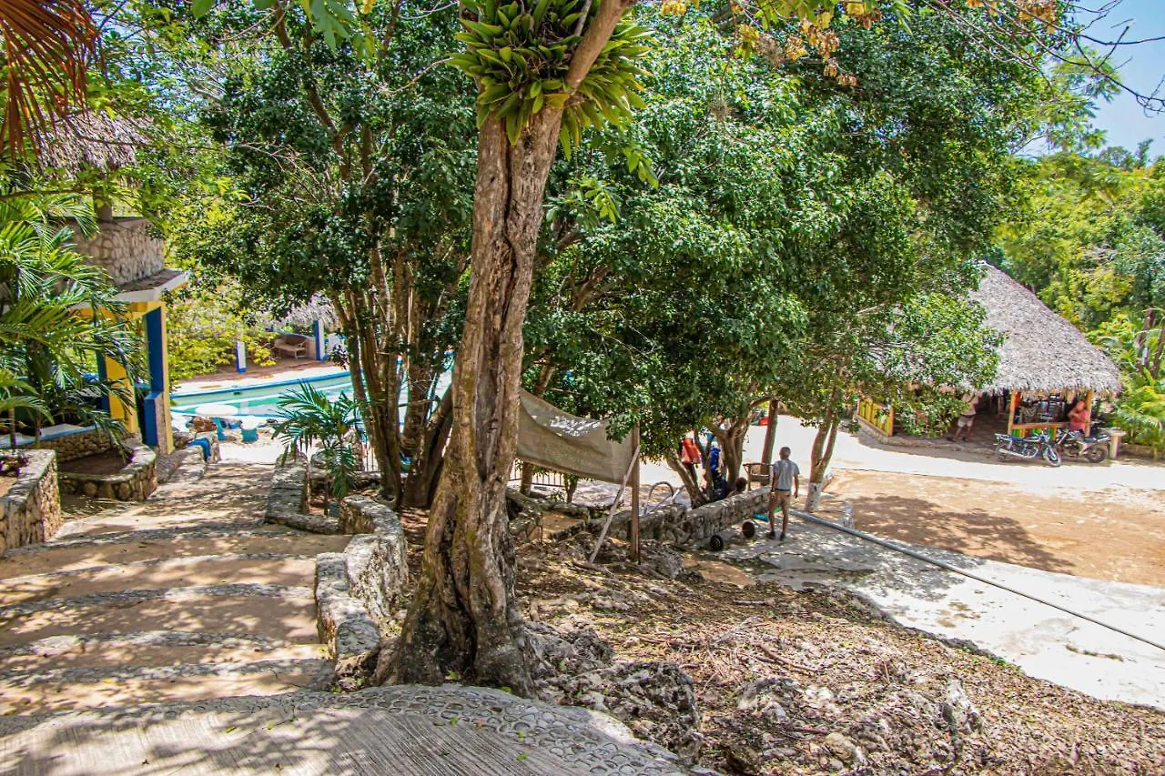 Lägenhet Haleys Paradise At Blue Hole Revival Jamaica