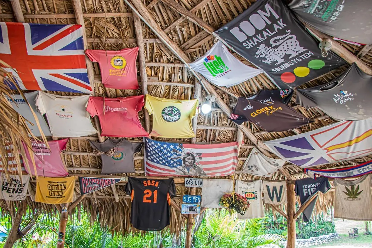 Lägenhet Haleys Paradise At Blue Hole Revival Jamaica