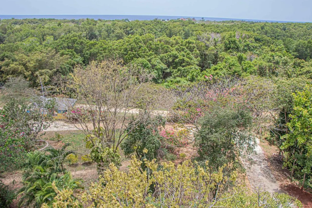 Haleys Paradise At Blue Hole Revival 0*,