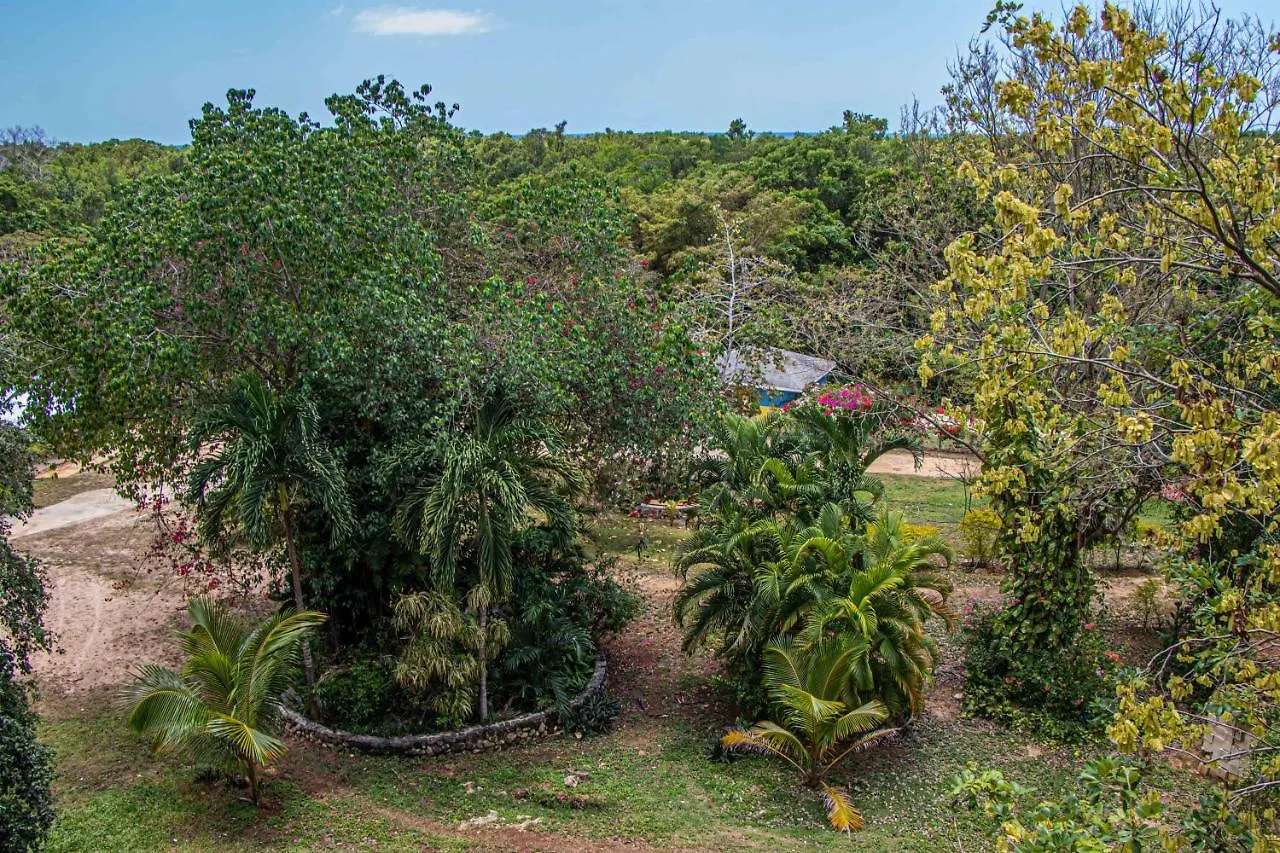 Haleys Paradise At Blue Hole Revival