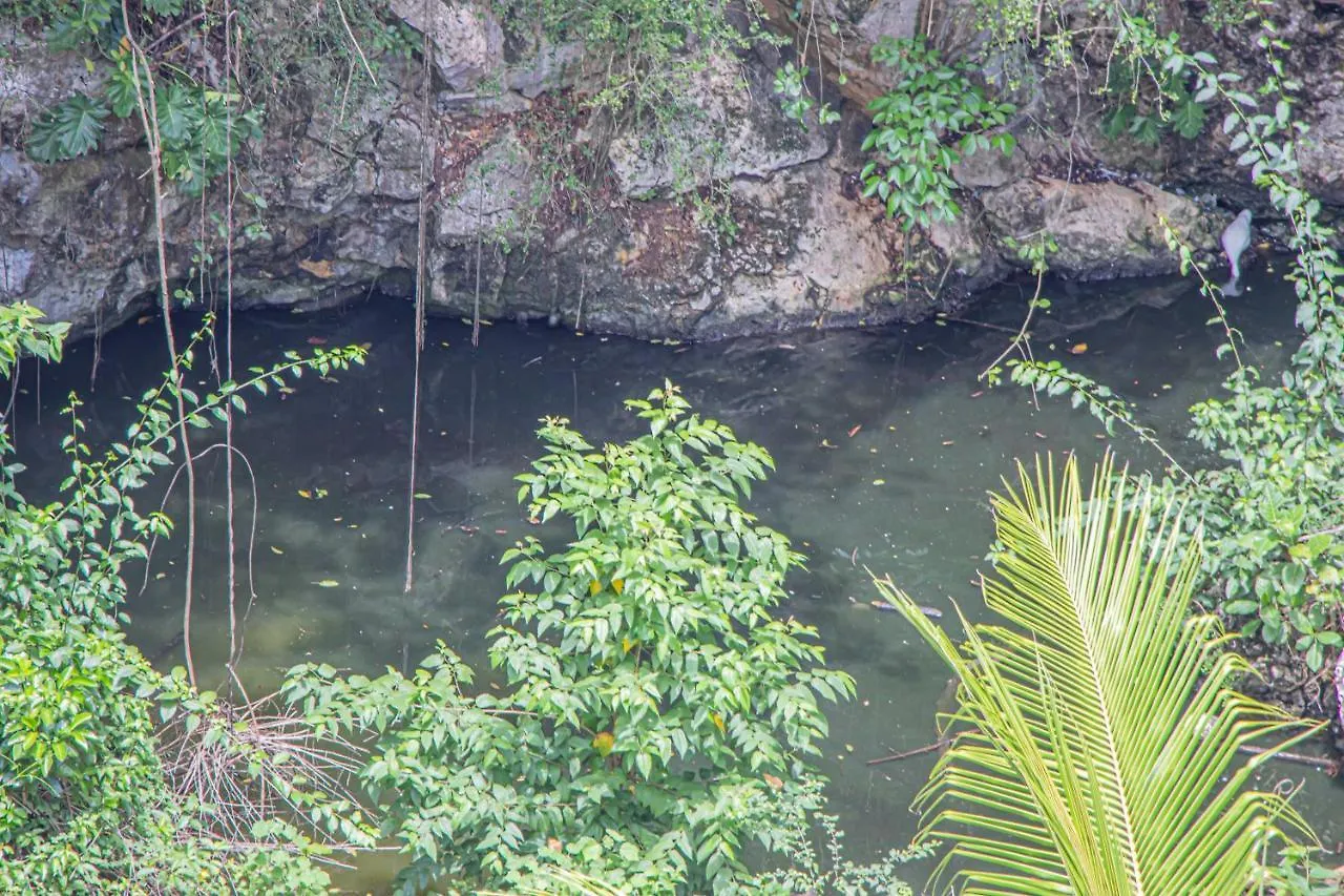 Haleys Paradise At Blue Hole Revival
